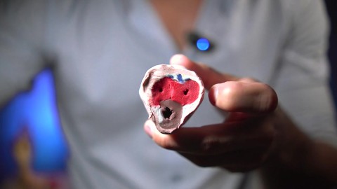 Así se produce una erección – Explicación médica clara